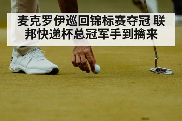 麦克罗伊巡回锦标赛夺冠 联邦快递杯总冠军手到擒来